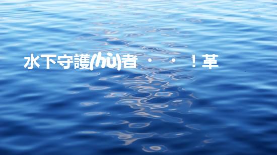 水下守護(hù)者！革命性水面清潔機(jī)器人，為環(huán)境保護(hù)而來？